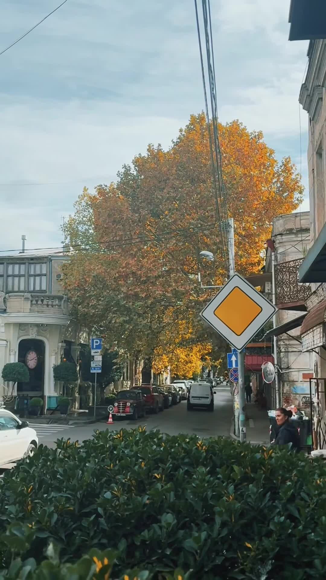 Video af overnatningsstedet