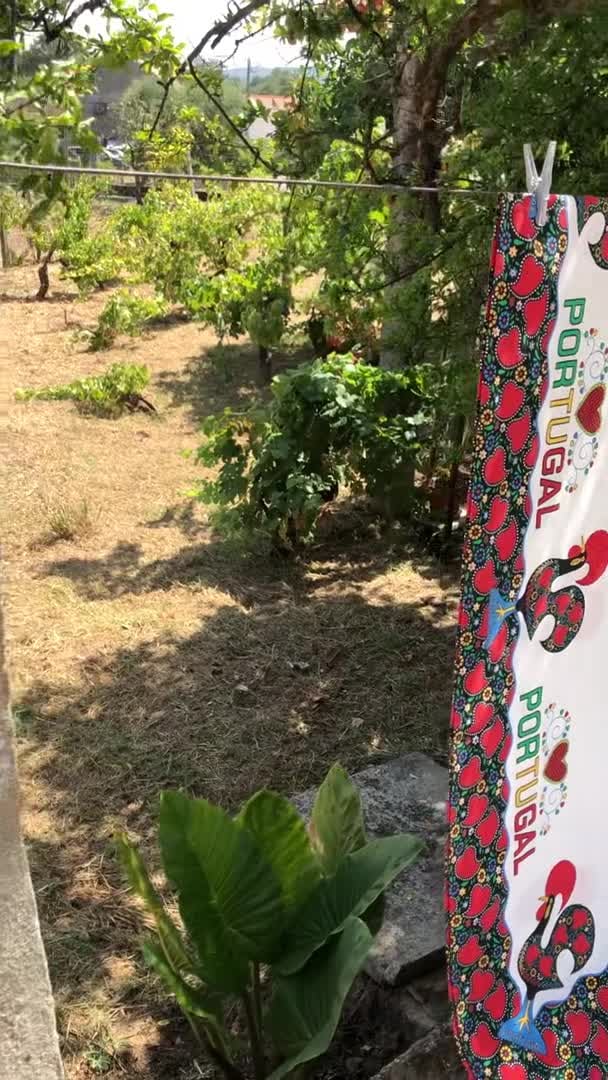 Vidéo de l’hébergement
