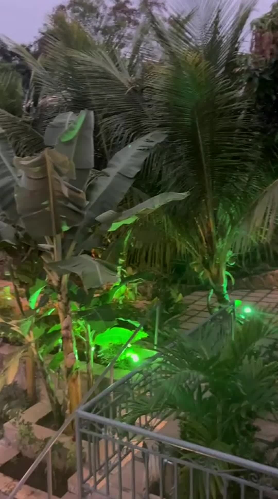 Majoituspaikan video