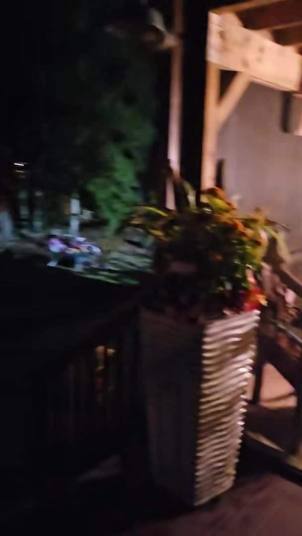 Video realizado por la propiedad