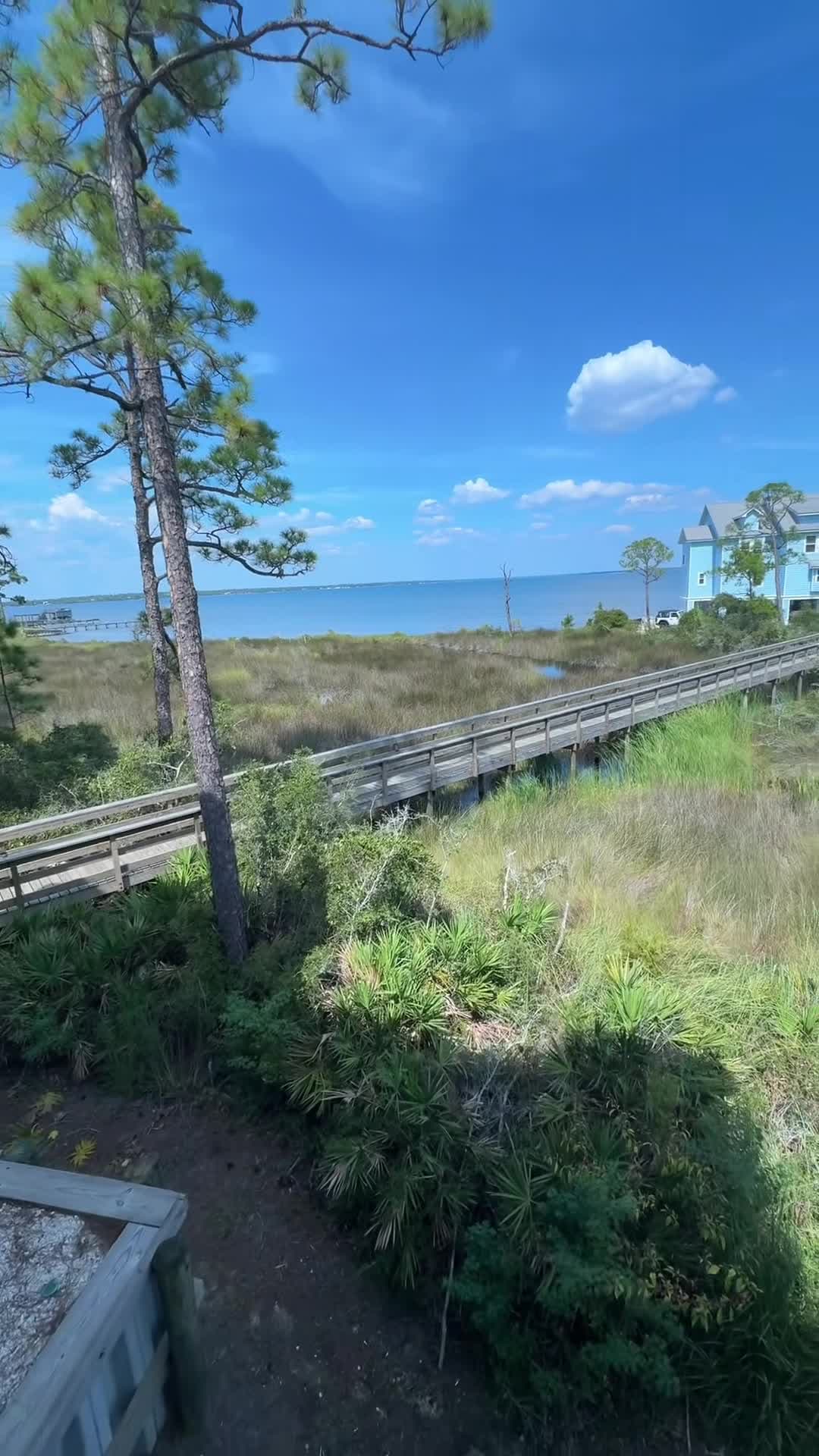 Property video