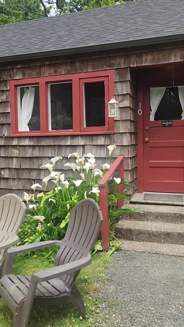 Property video