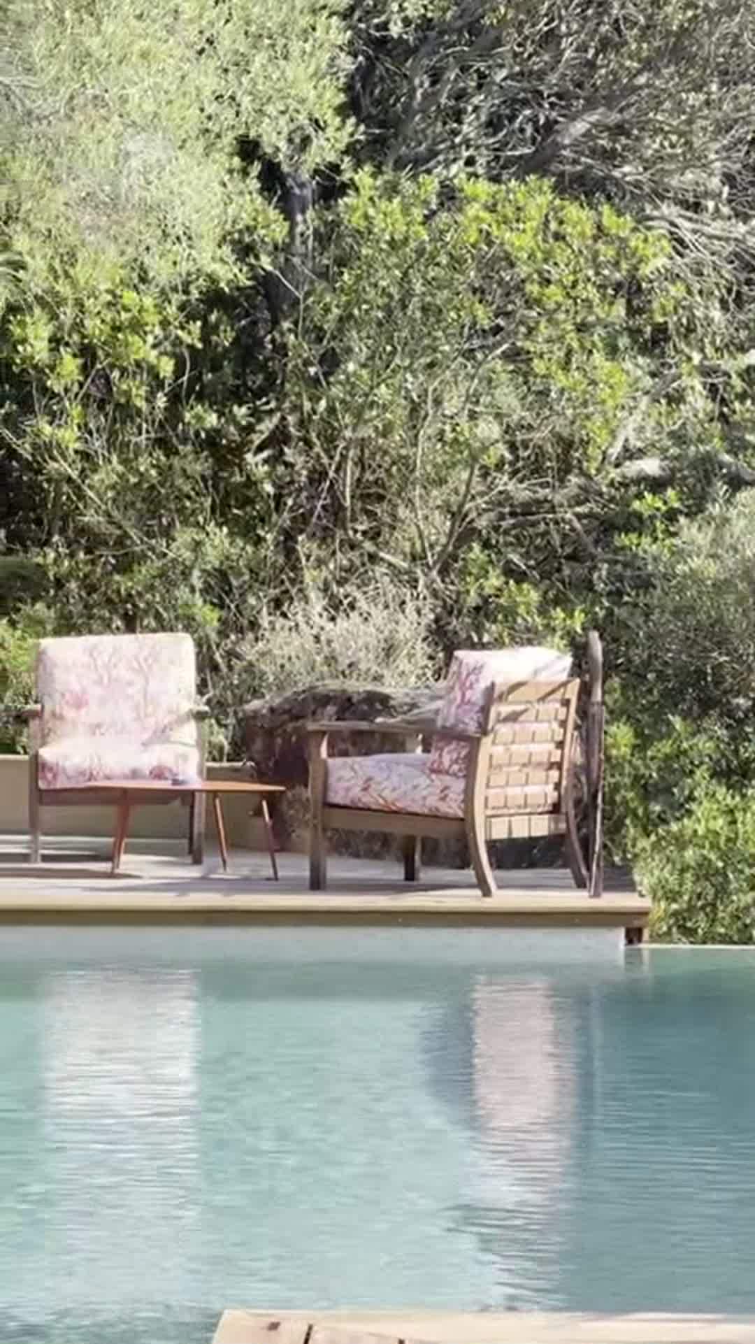 Video realizado por la propiedad
