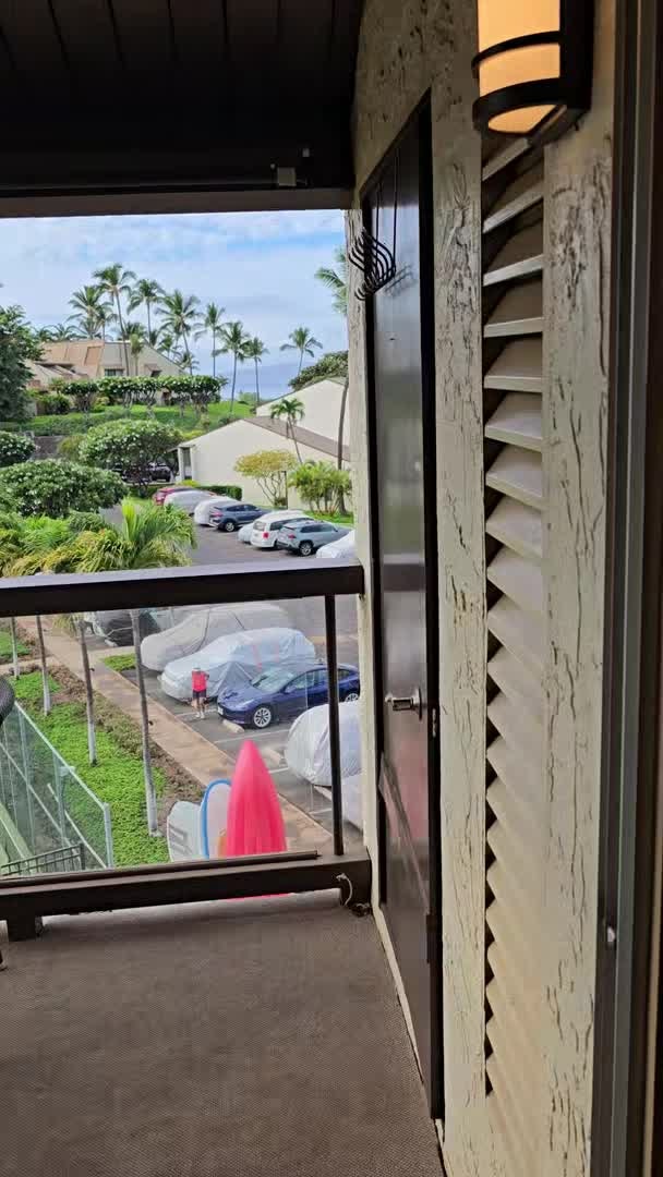 Video realizado por la propiedad