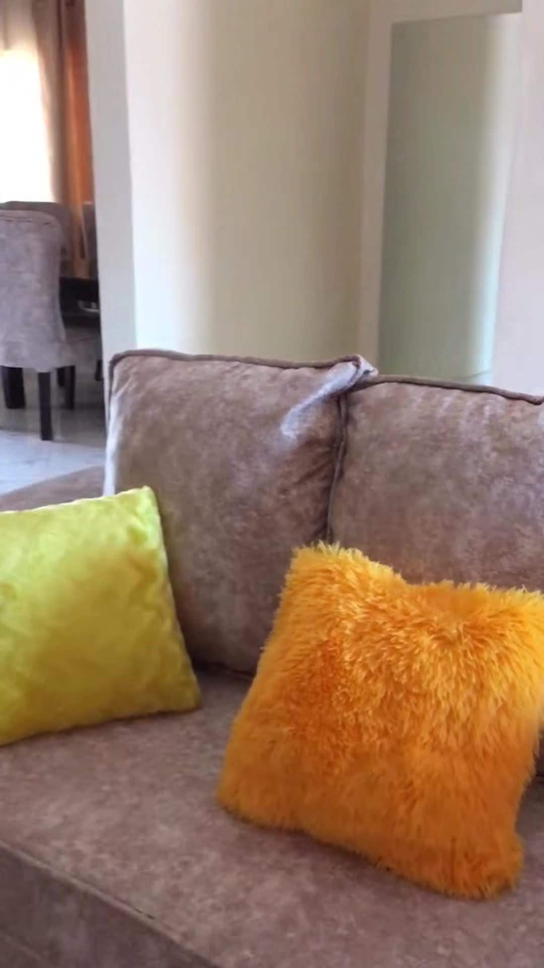 Property video