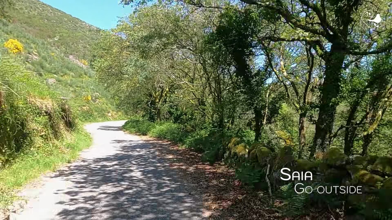 Vidéo de l’hébergement