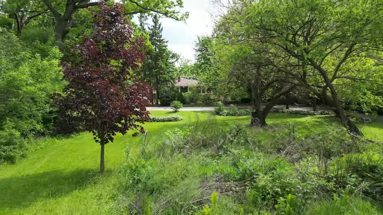 Property video