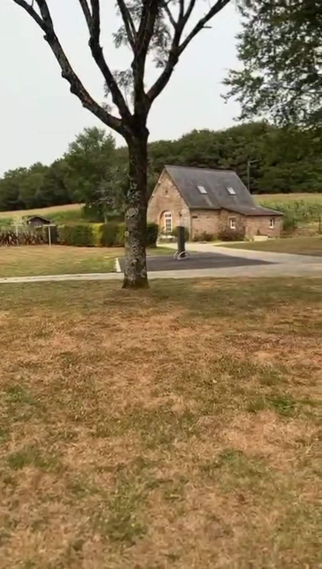 Property video