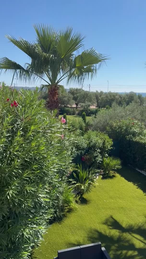 Property video