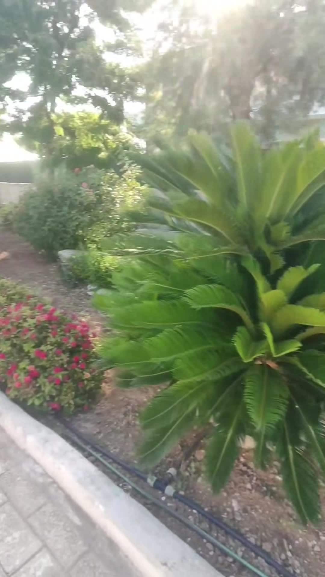 Vidéo de l’hébergement