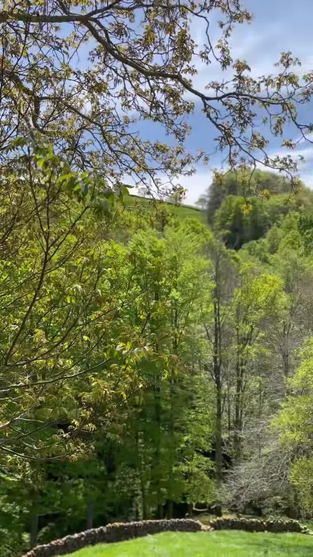 Majoituspaikan video