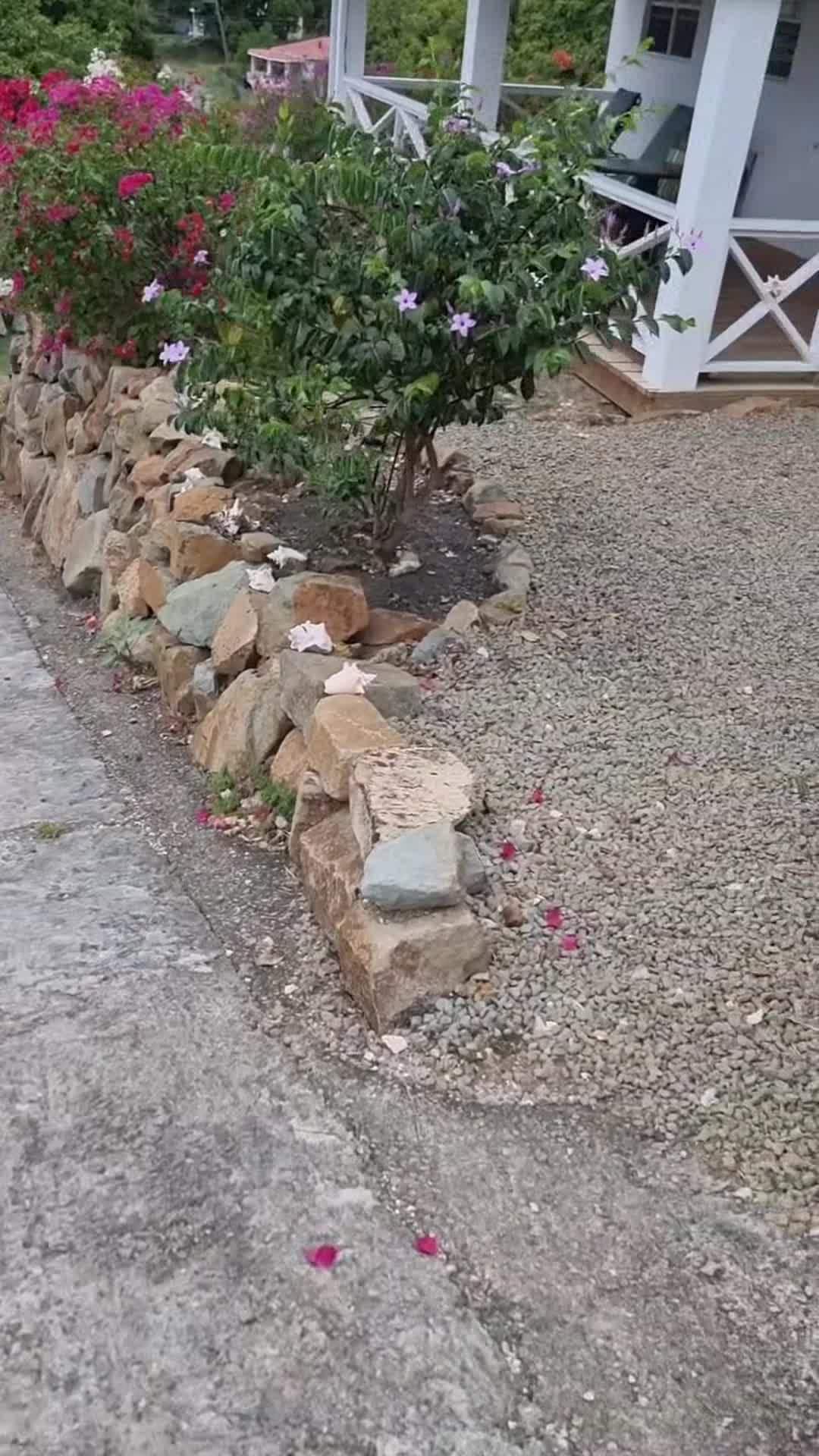Vidéo de l’hébergement