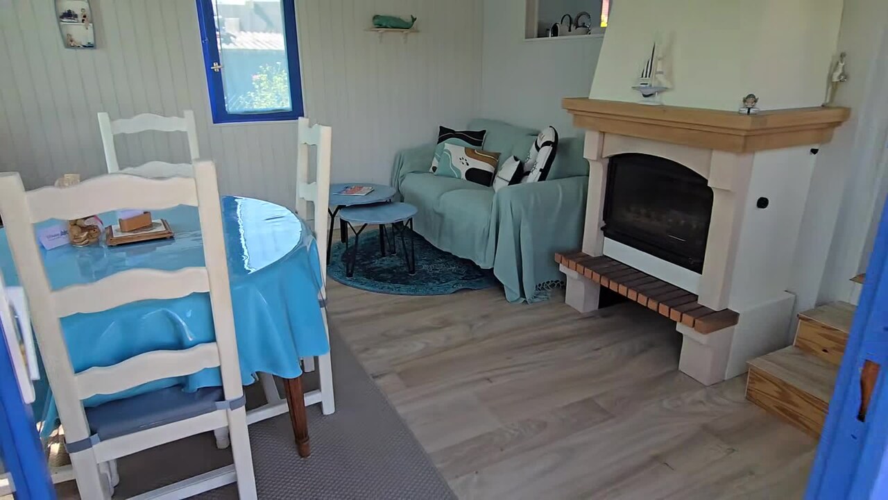 Property video