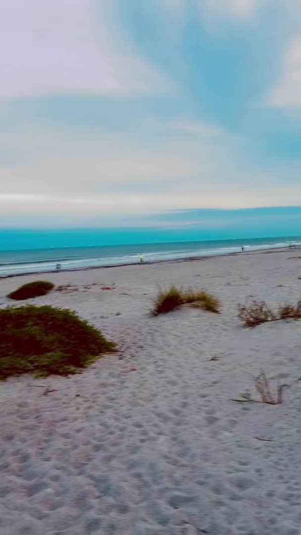 Video der Unterkunft