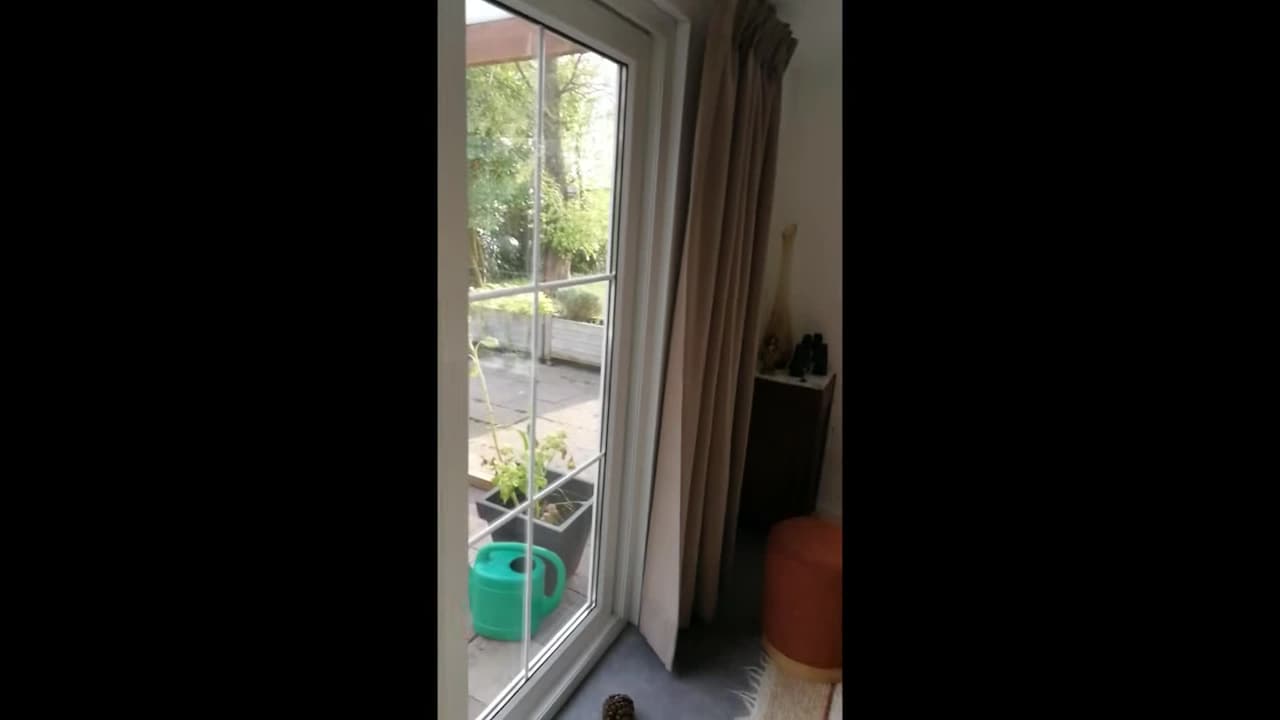 Video der Unterkunft