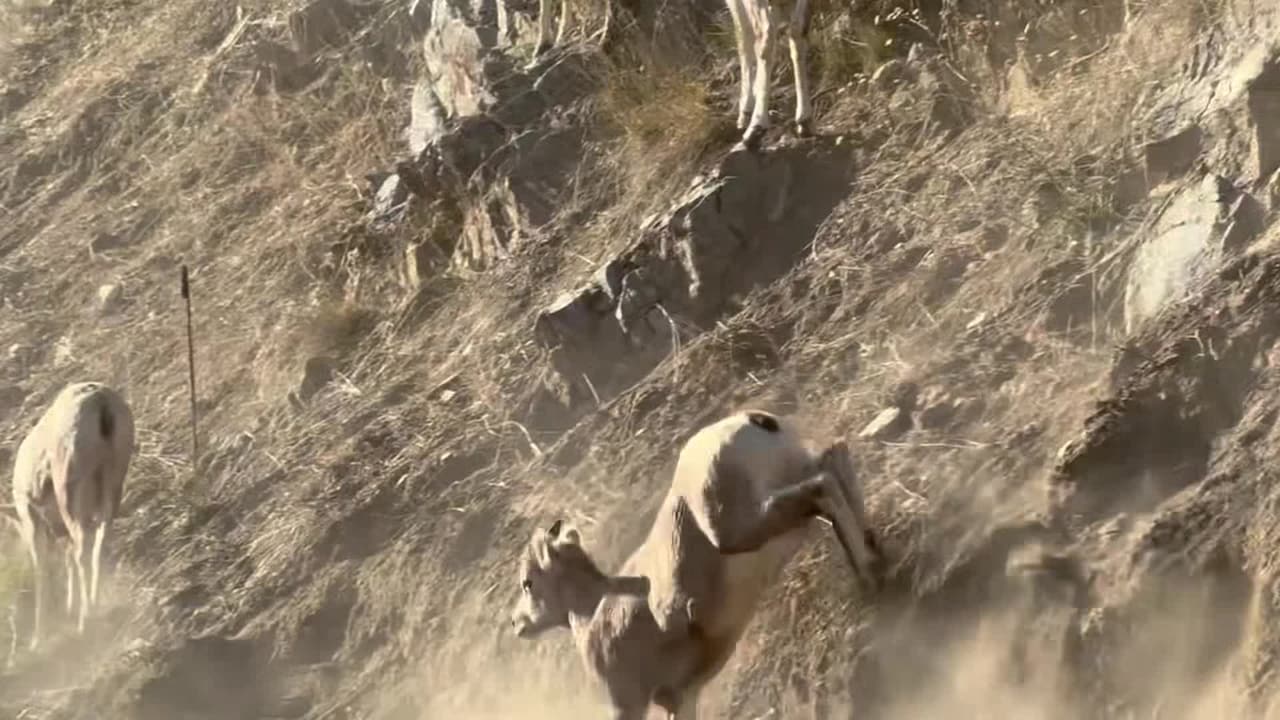 Vidéo de l’hébergement