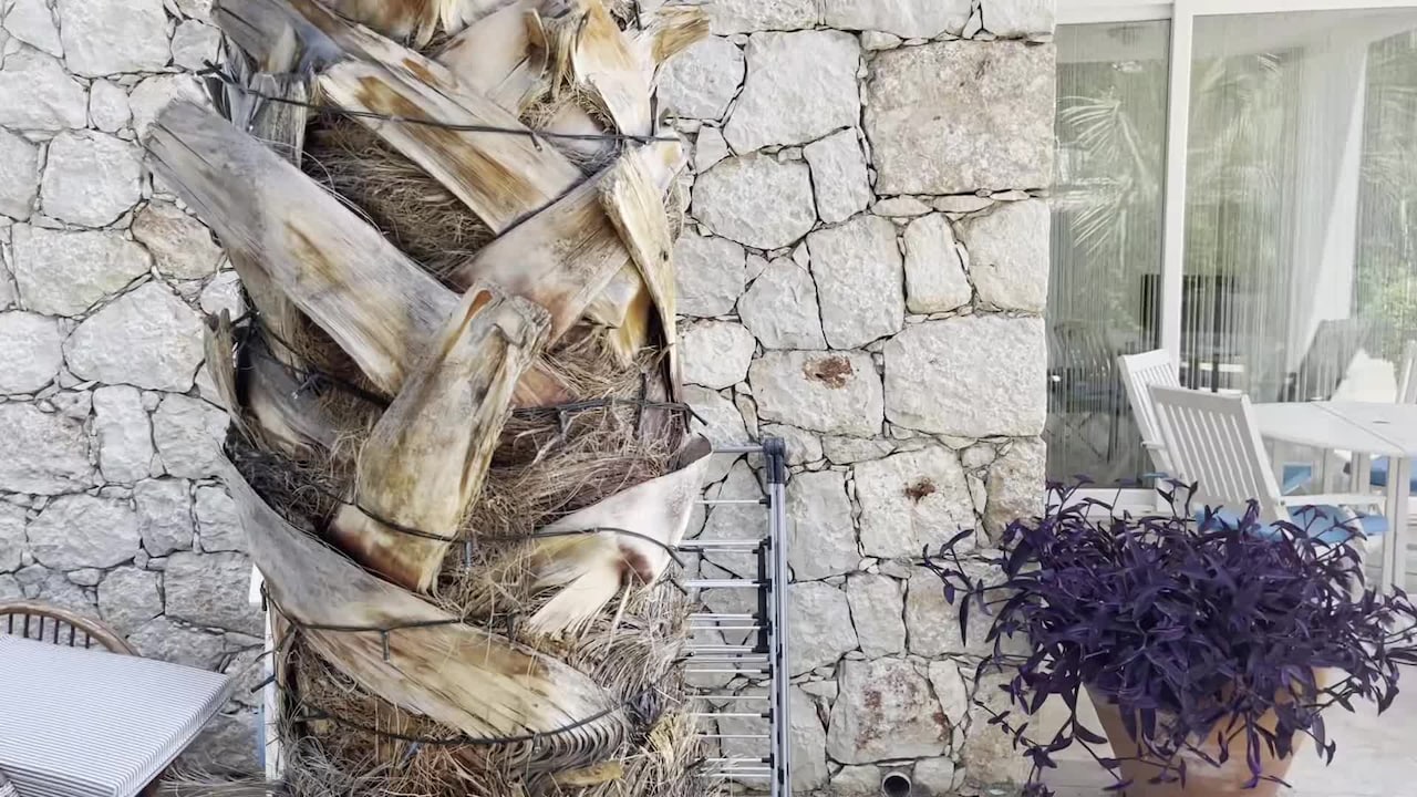 Vidéo de l’hébergement
