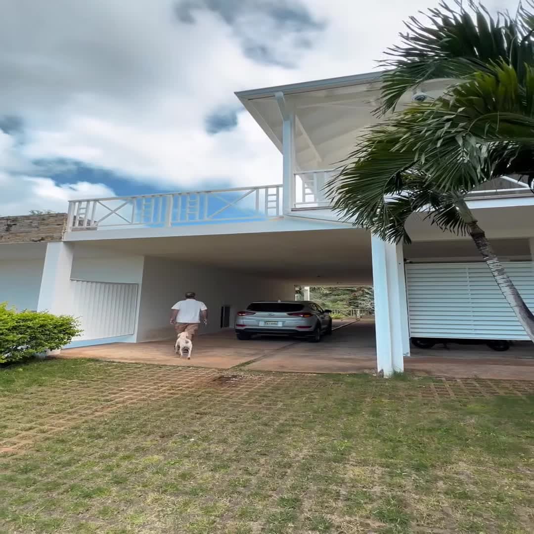 Property video