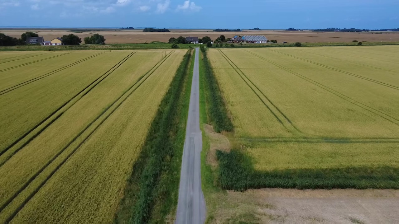 Property video