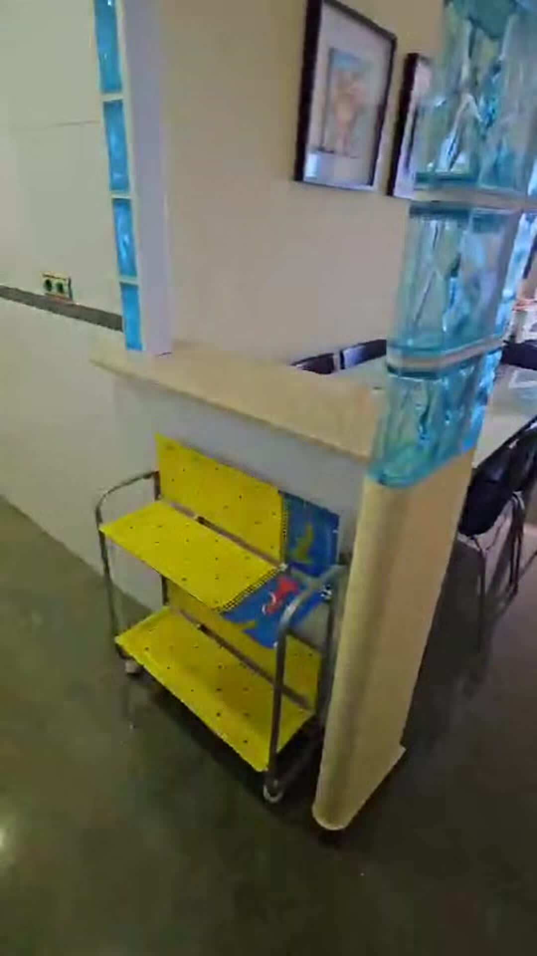Vídeo da propriedade