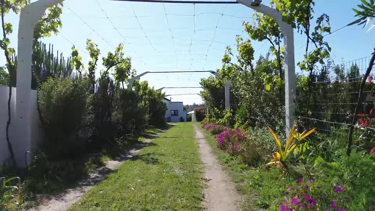 Property video