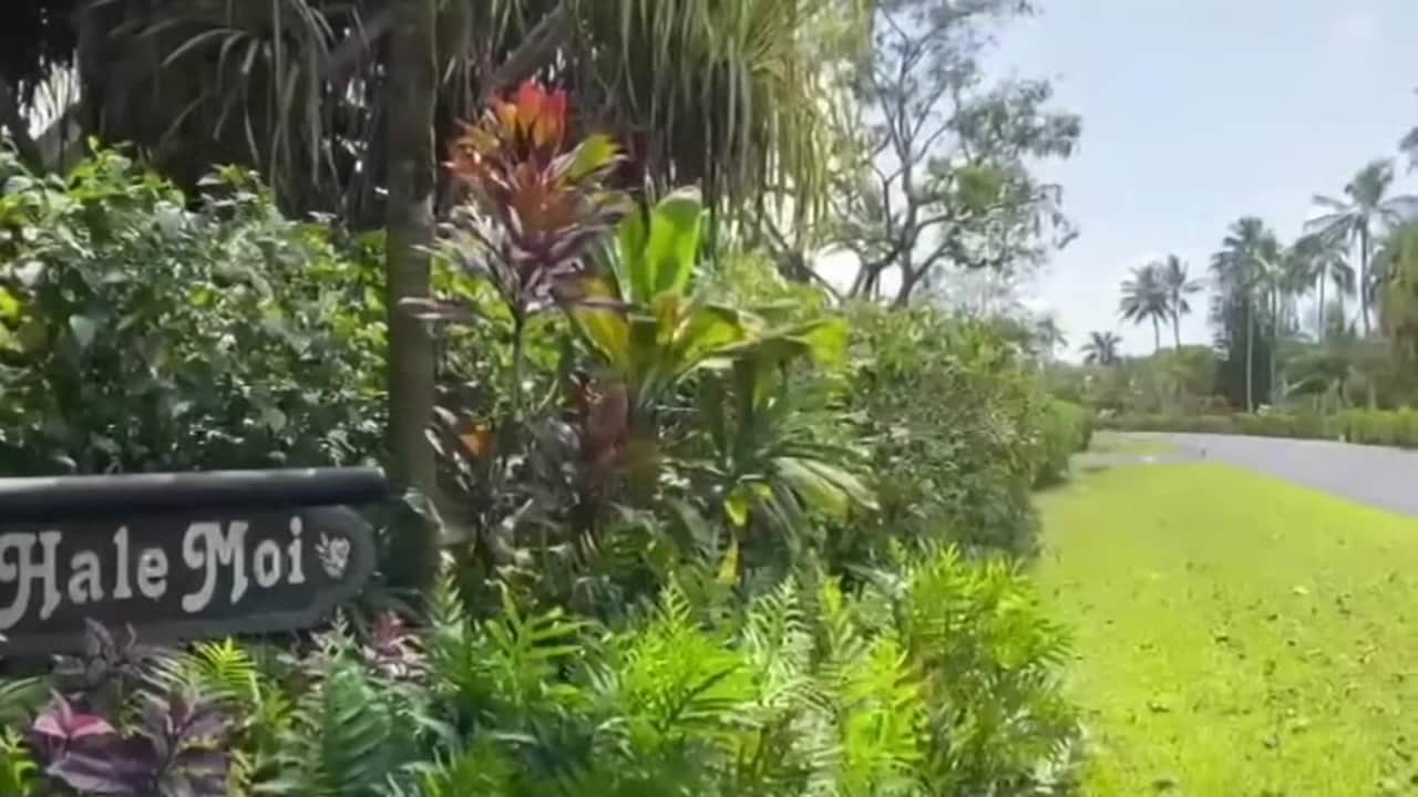 Property video