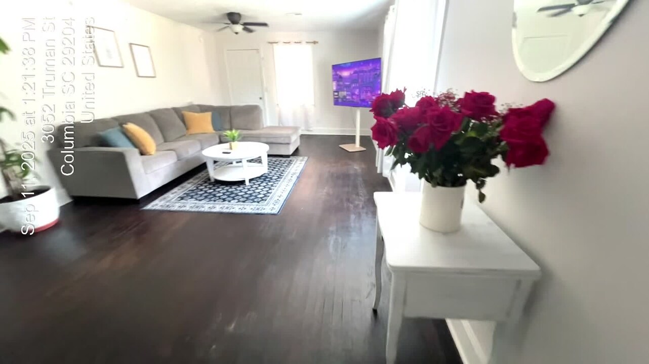 Property video