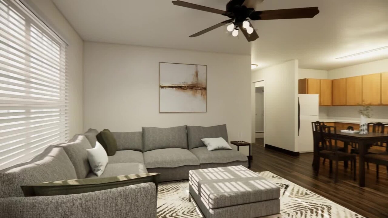 Property video
