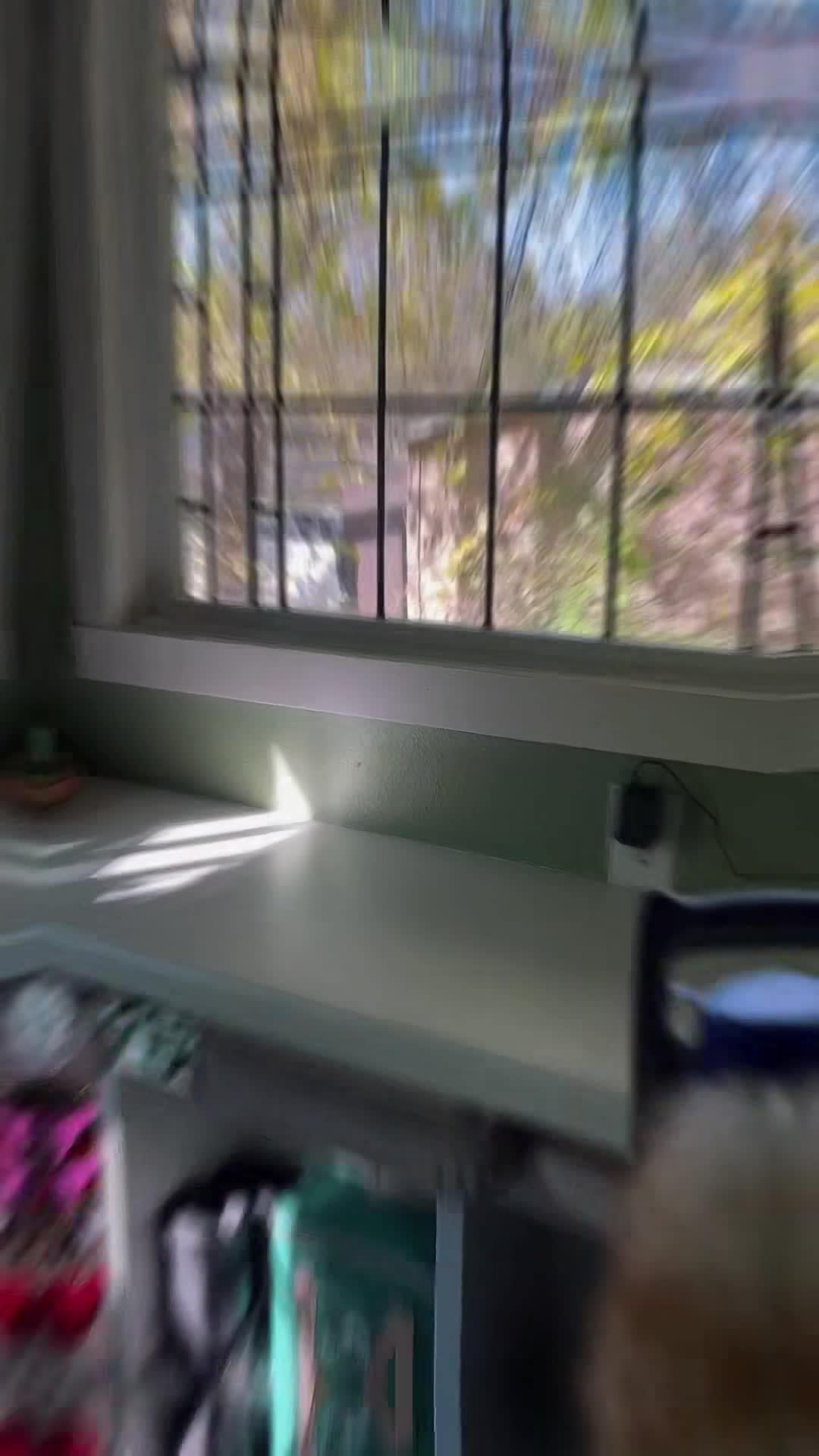 Vidéo de l’hébergement