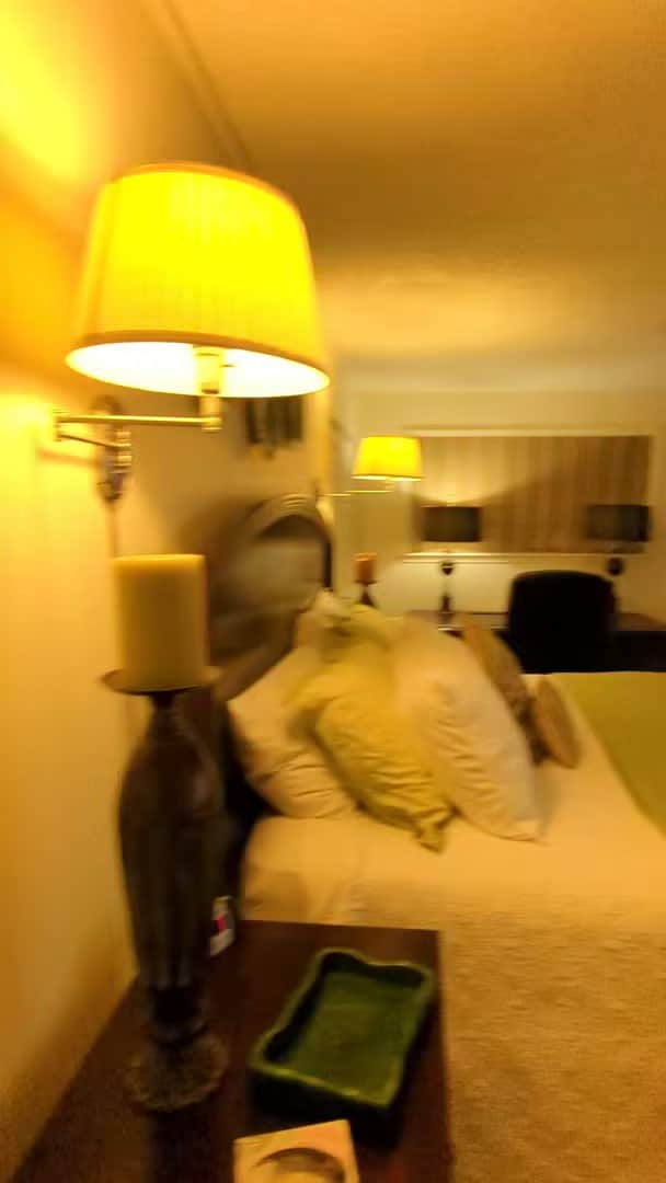Property video
