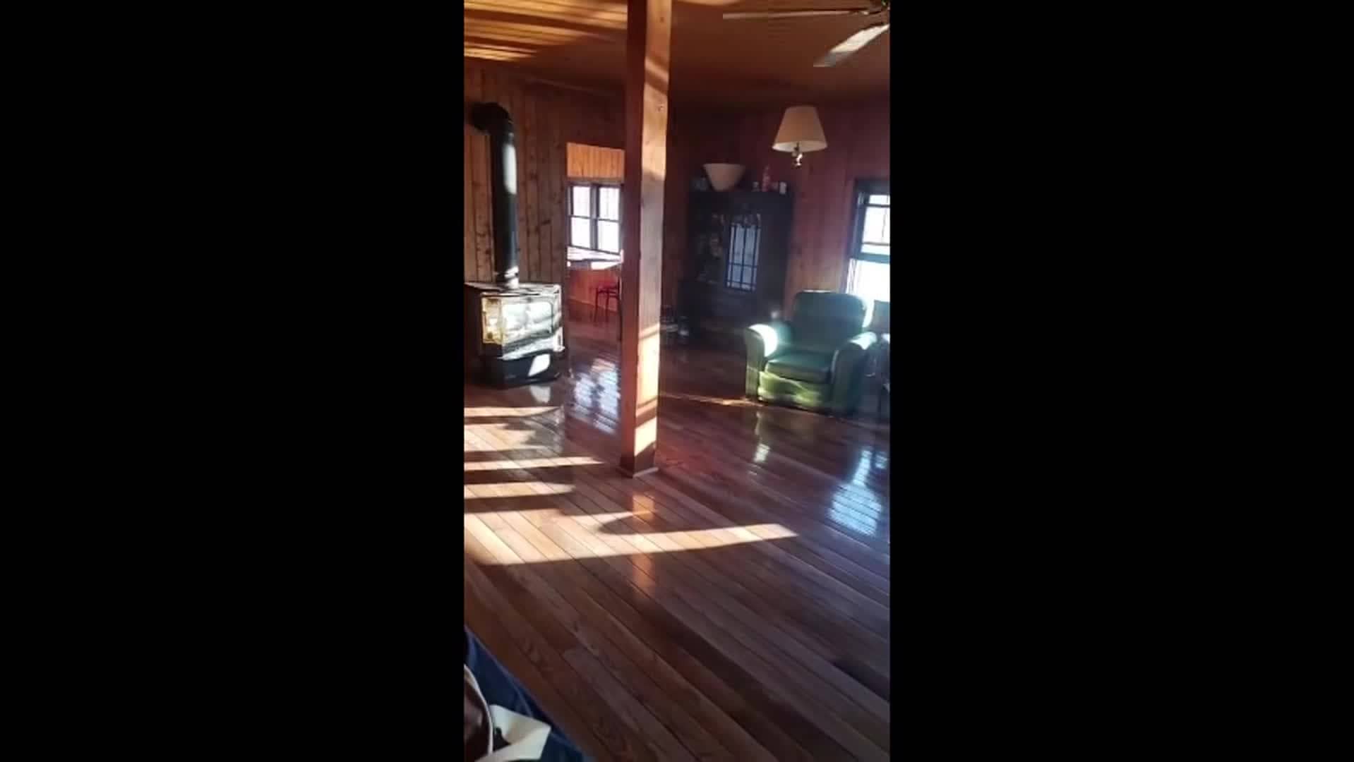 Video realizado por la propiedad