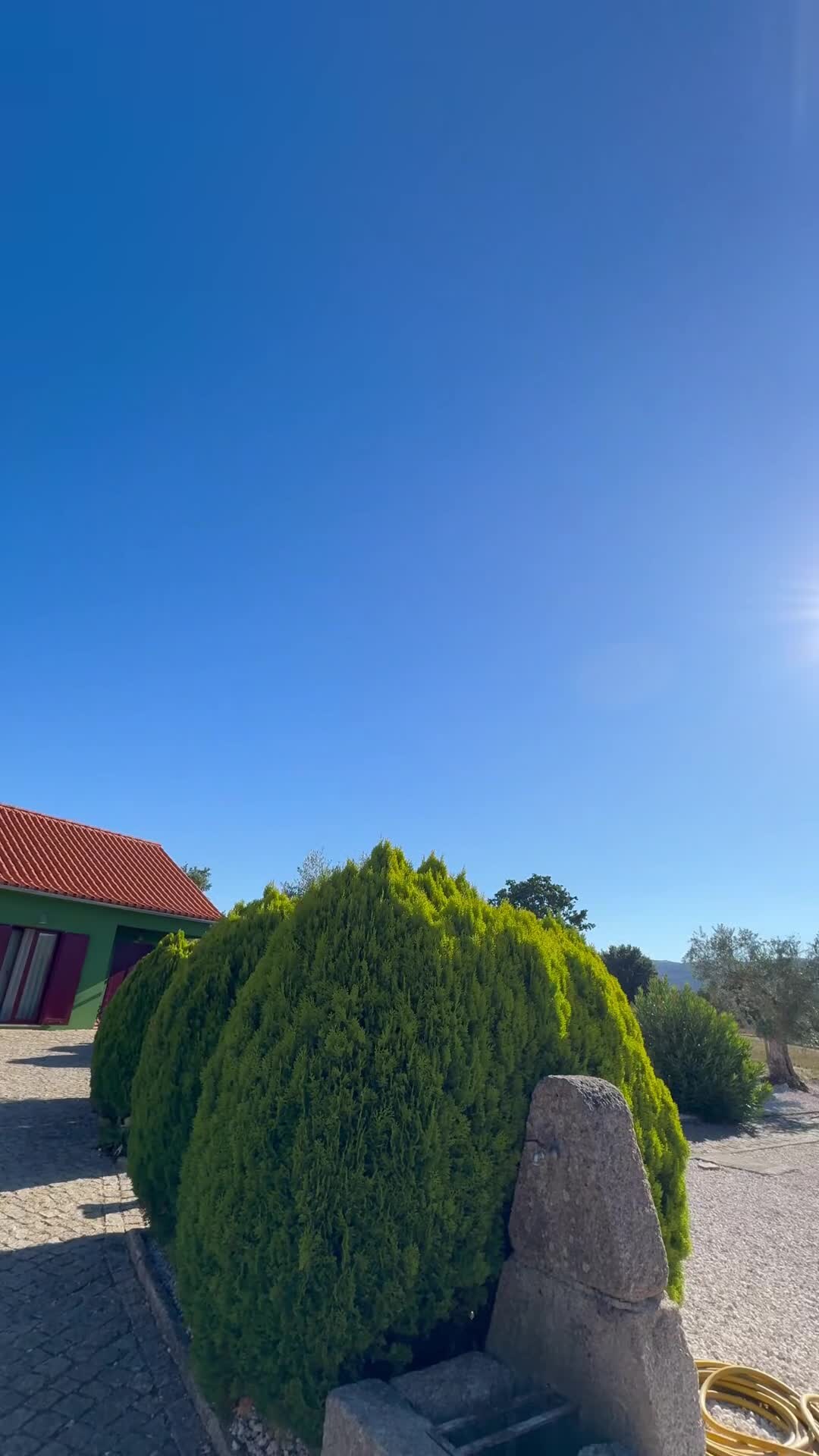 Property video