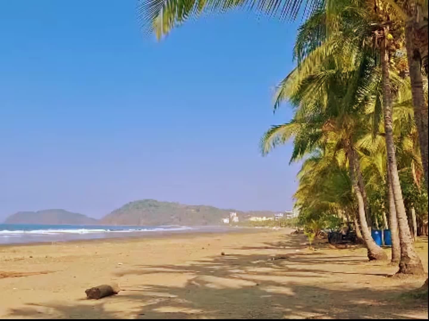 宿泊施設による動画