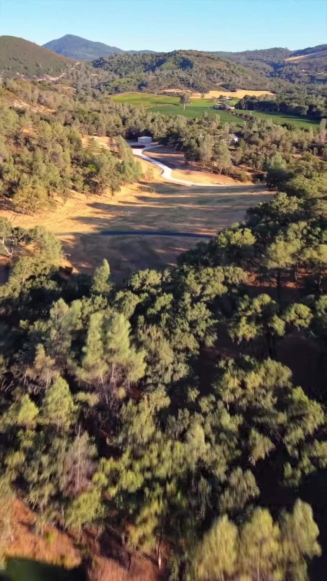 Property video