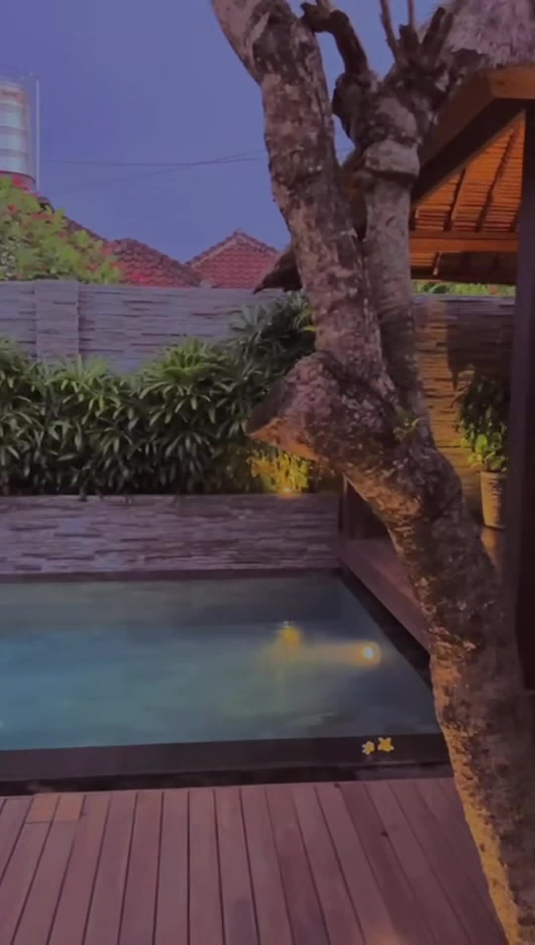 Property video