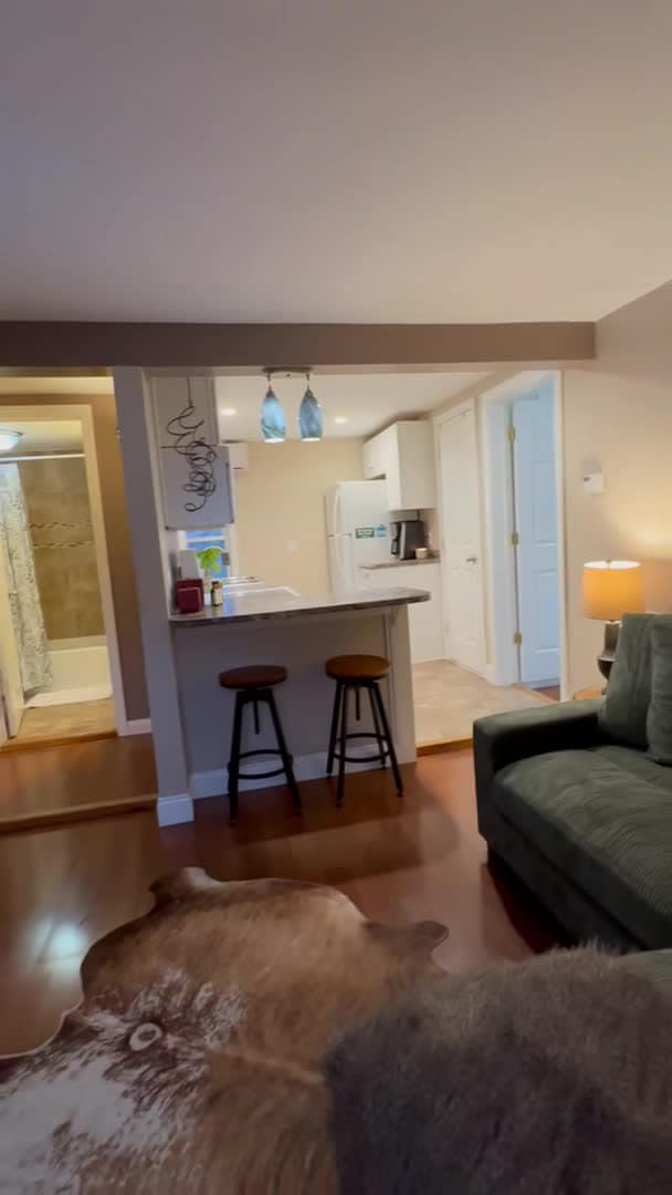 Property video