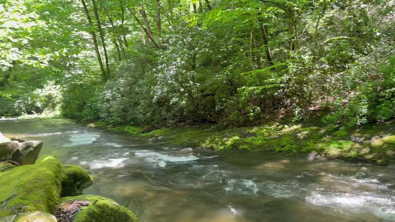 Property video