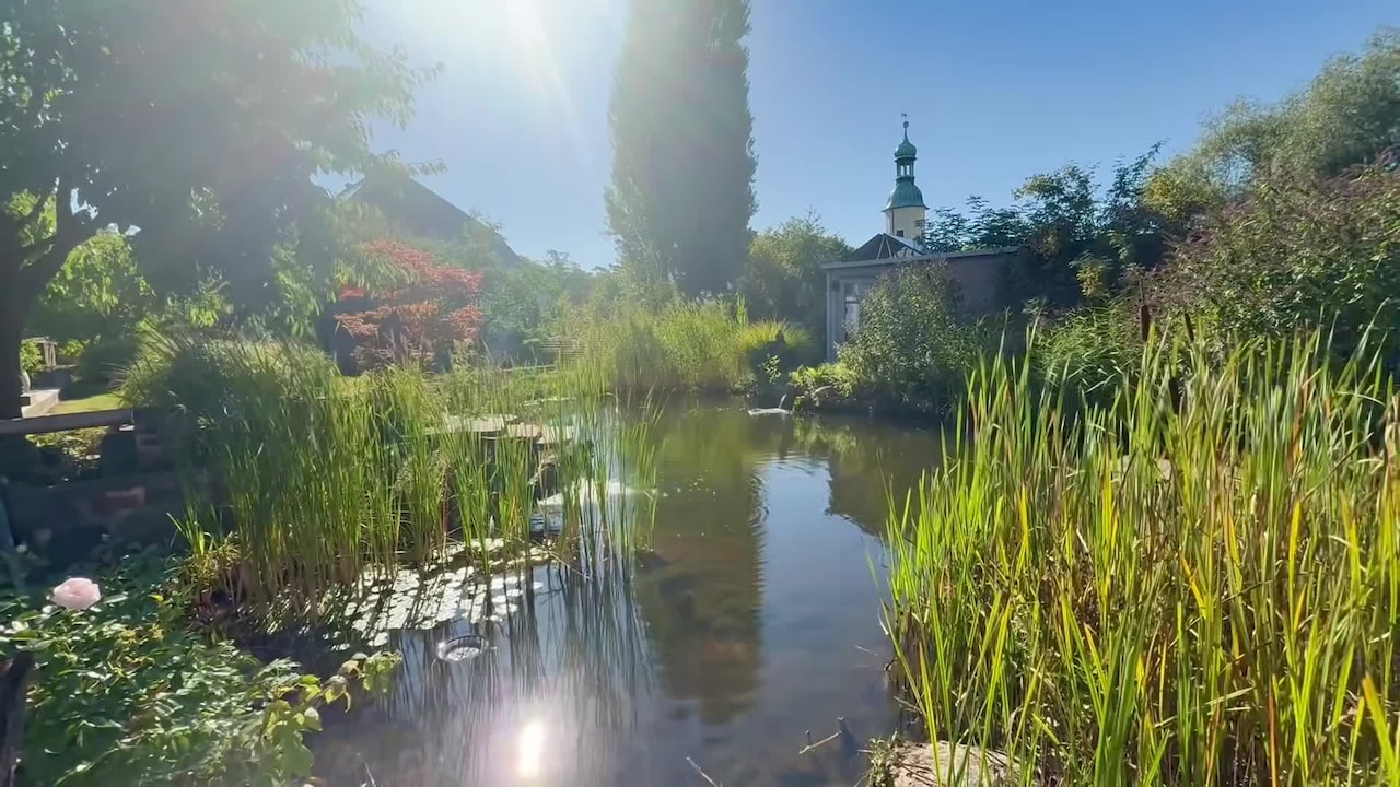 Property video