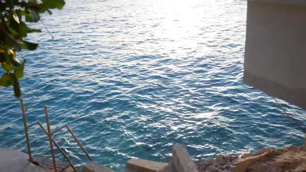 Video realizado por la propiedad