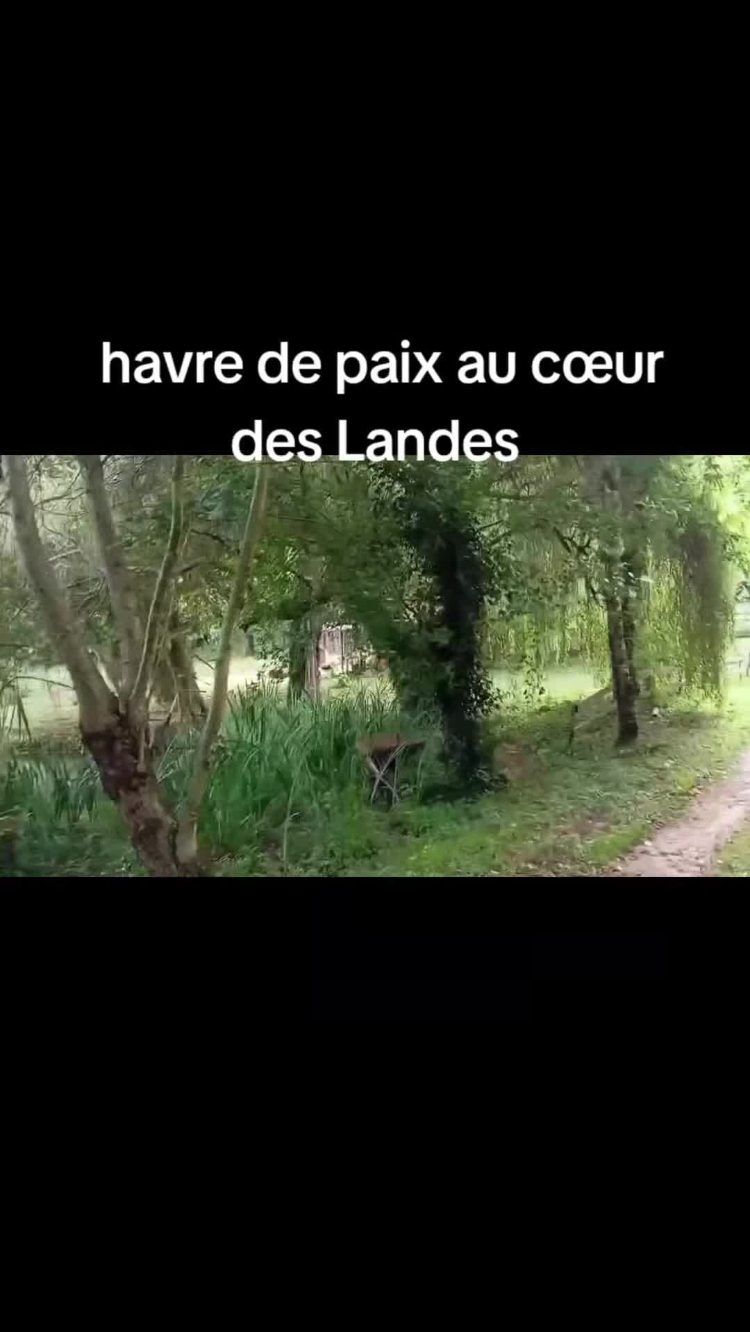 Video der Unterkunft
