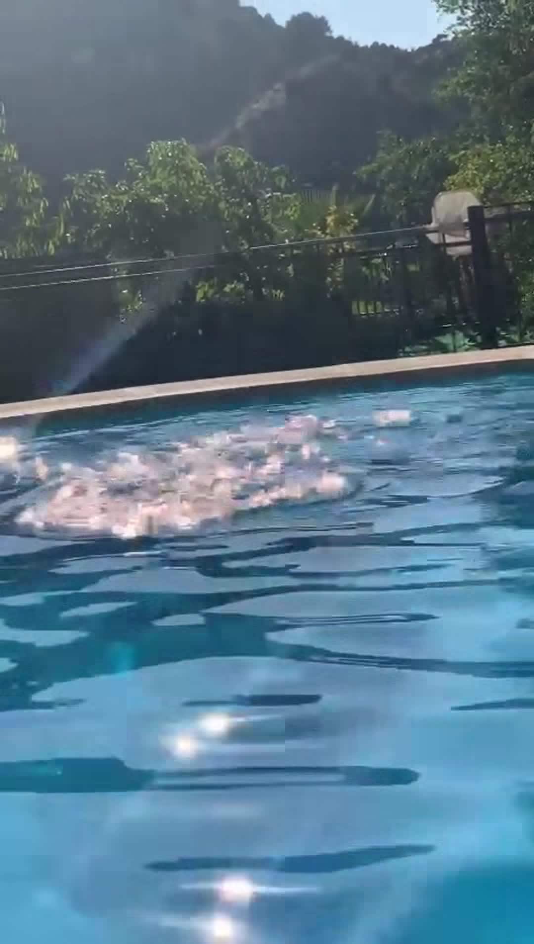 Video der Unterkunft