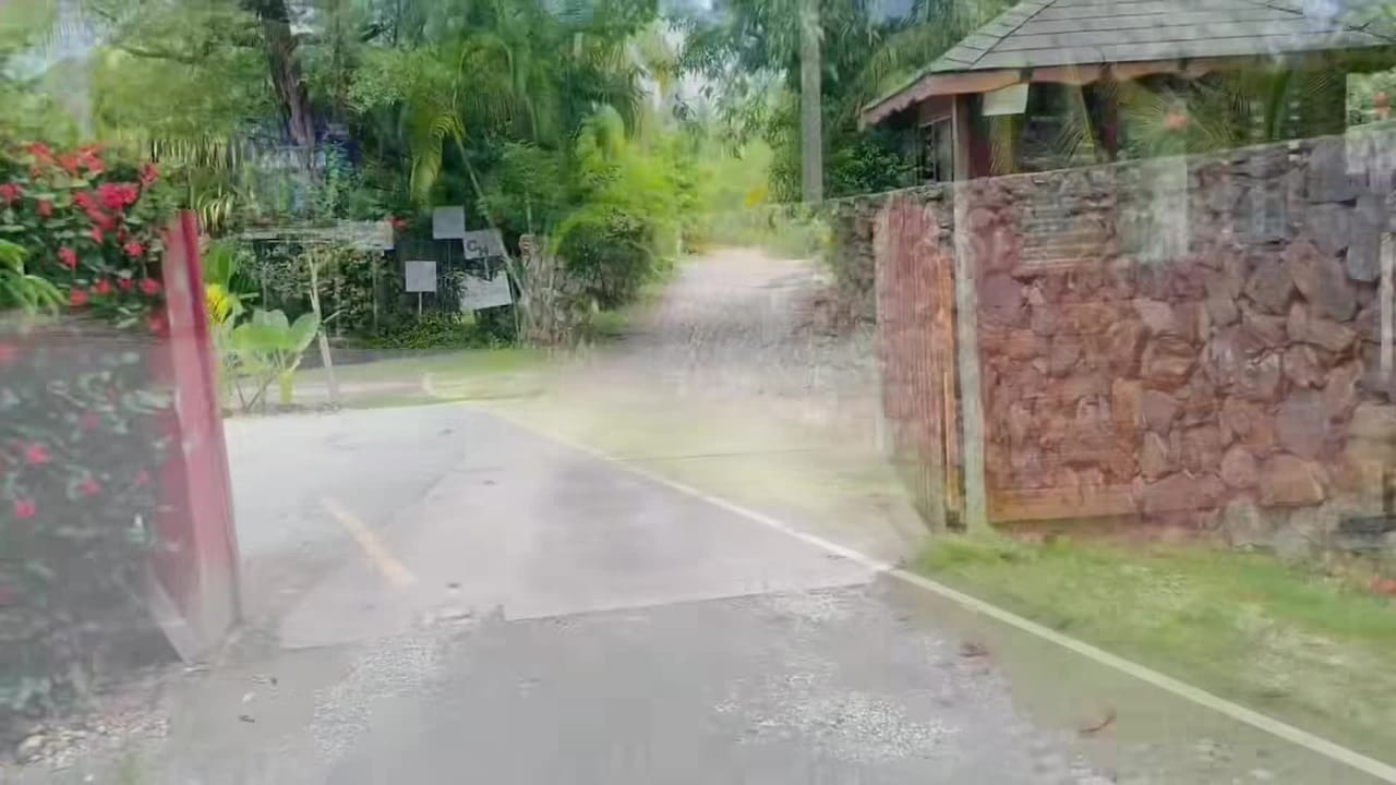 Property video