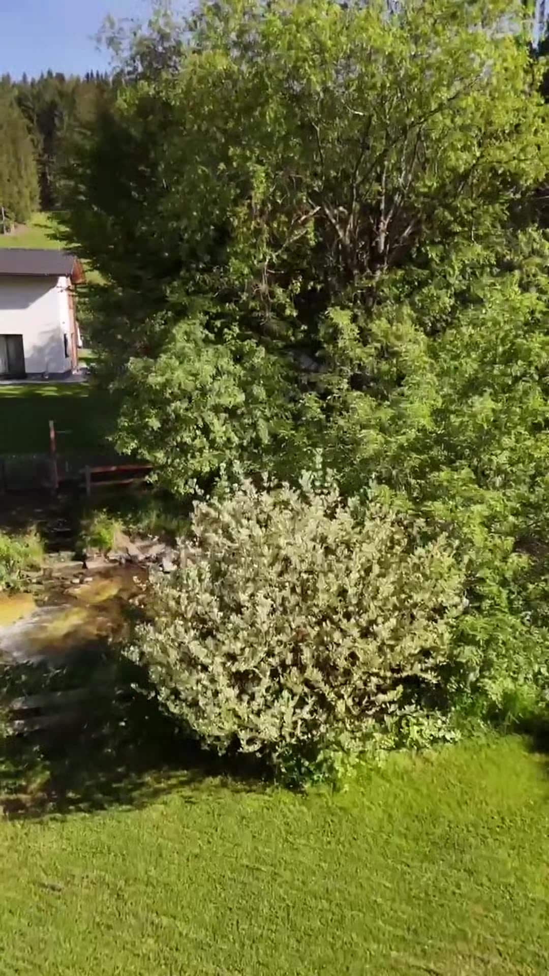 VidĂ©o de lâhĂ©bergement