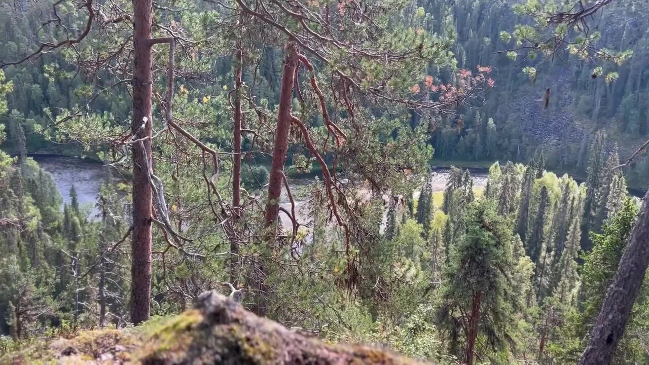 Video der Unterkunft