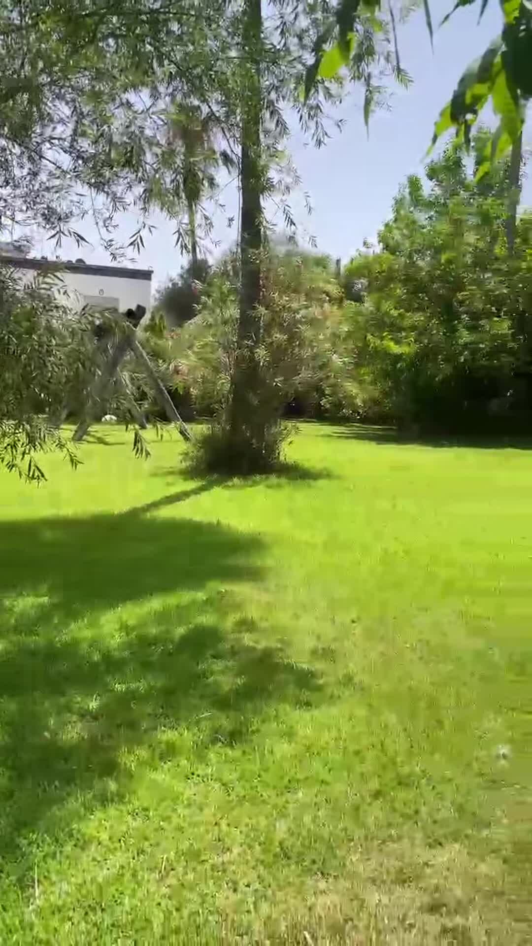 Video af overnatningsstedet