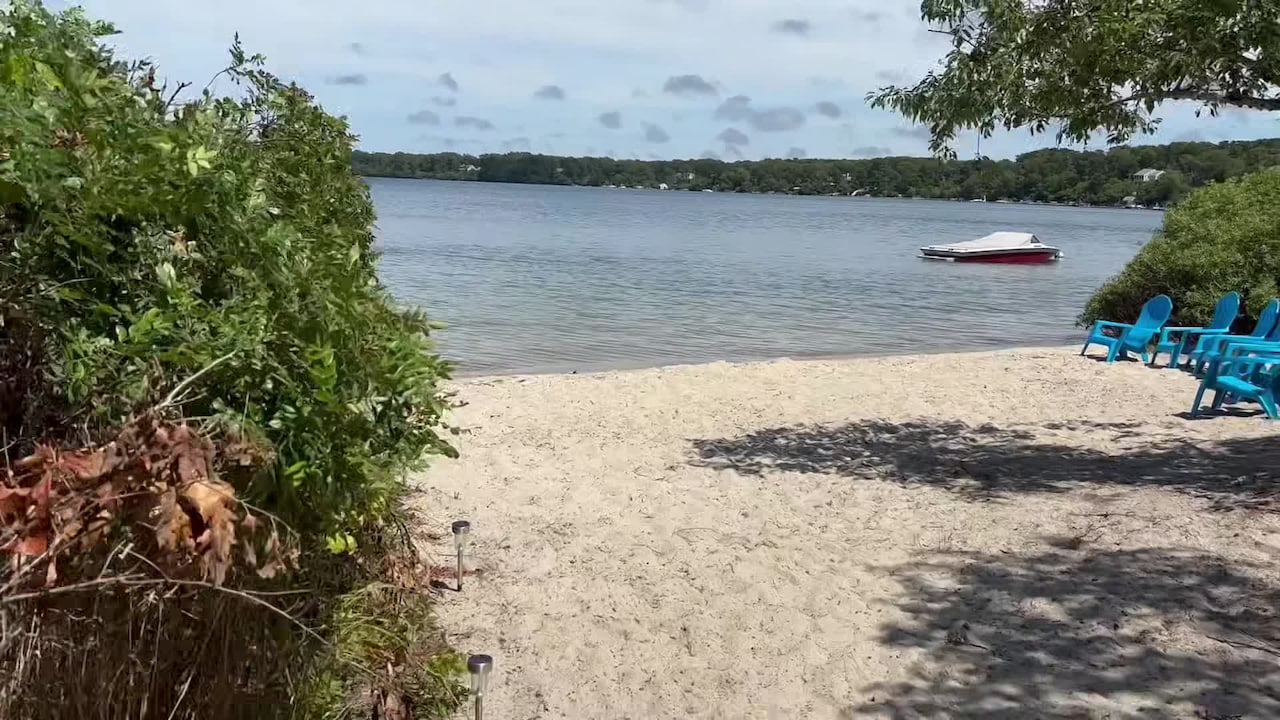 Video realizado por la propiedad