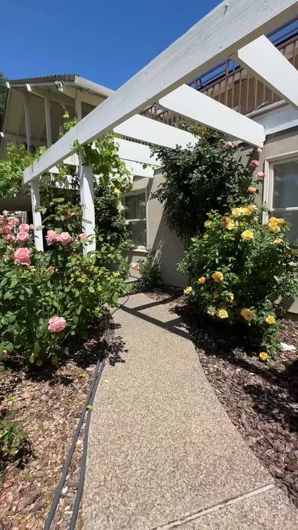 Property video