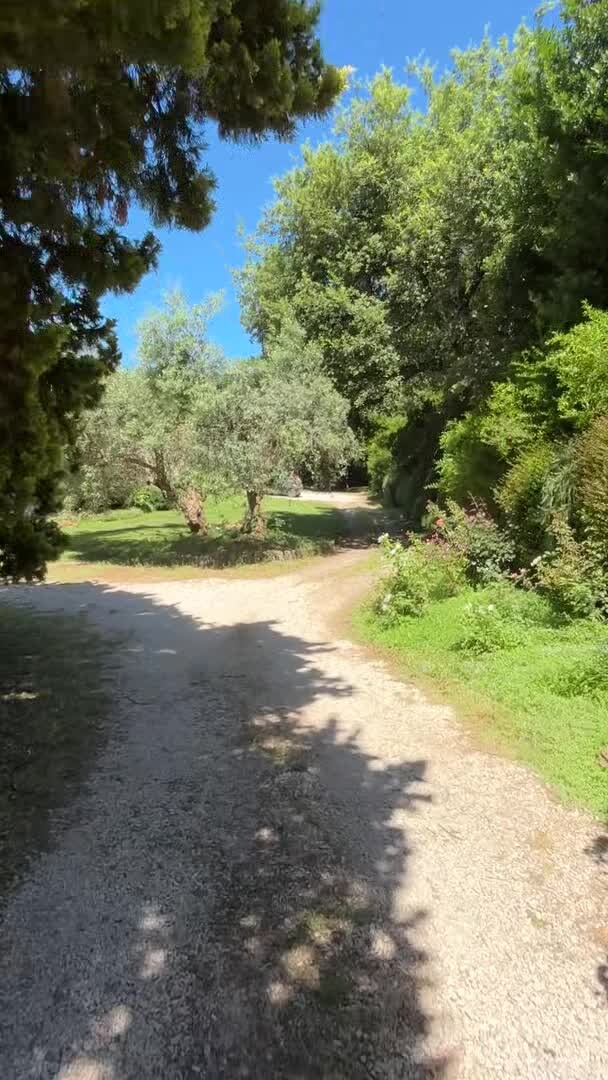 Property video