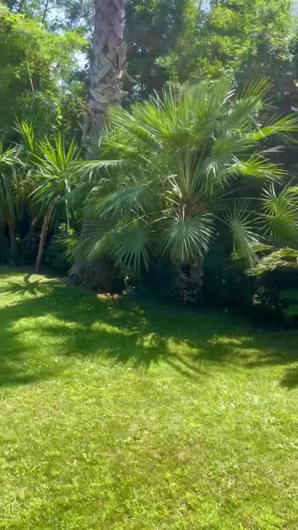 Vidéo de l’hébergement