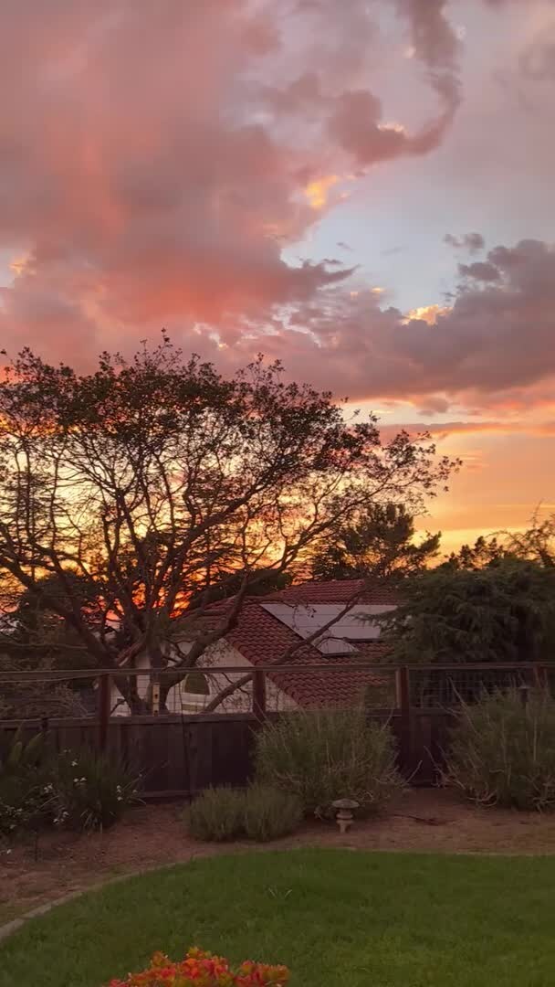 Video realizado por la propiedad